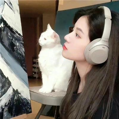金子般我的明星